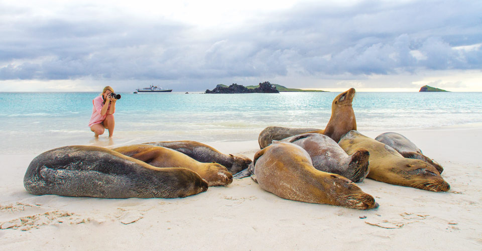 Galapagos Expedition Cruise | Natural Habitat Adventures